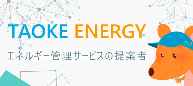 蓄電システムメーカー TAOKE ENERGY